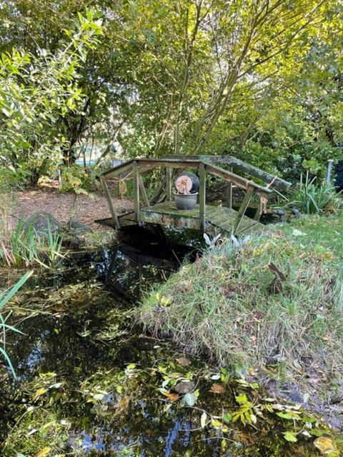 Hooger Wal 19 Morsumer Kliff * Morsum (Sylt)